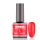 BRILLBIRD - RUBBER GEL BASE&COLOR - 11 - 8ML