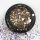 BRILLBIRD - FLITTER - CHAMPAGNE@