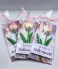 Köszönő ajándék - Rózsaszín színű habtulipán - rózsaszín virágos kartonon - celofánba csomagolva - Boldog nőnapot! -1.